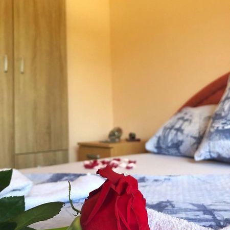 Apartments Simic Kamenari Εξωτερικό φωτογραφία