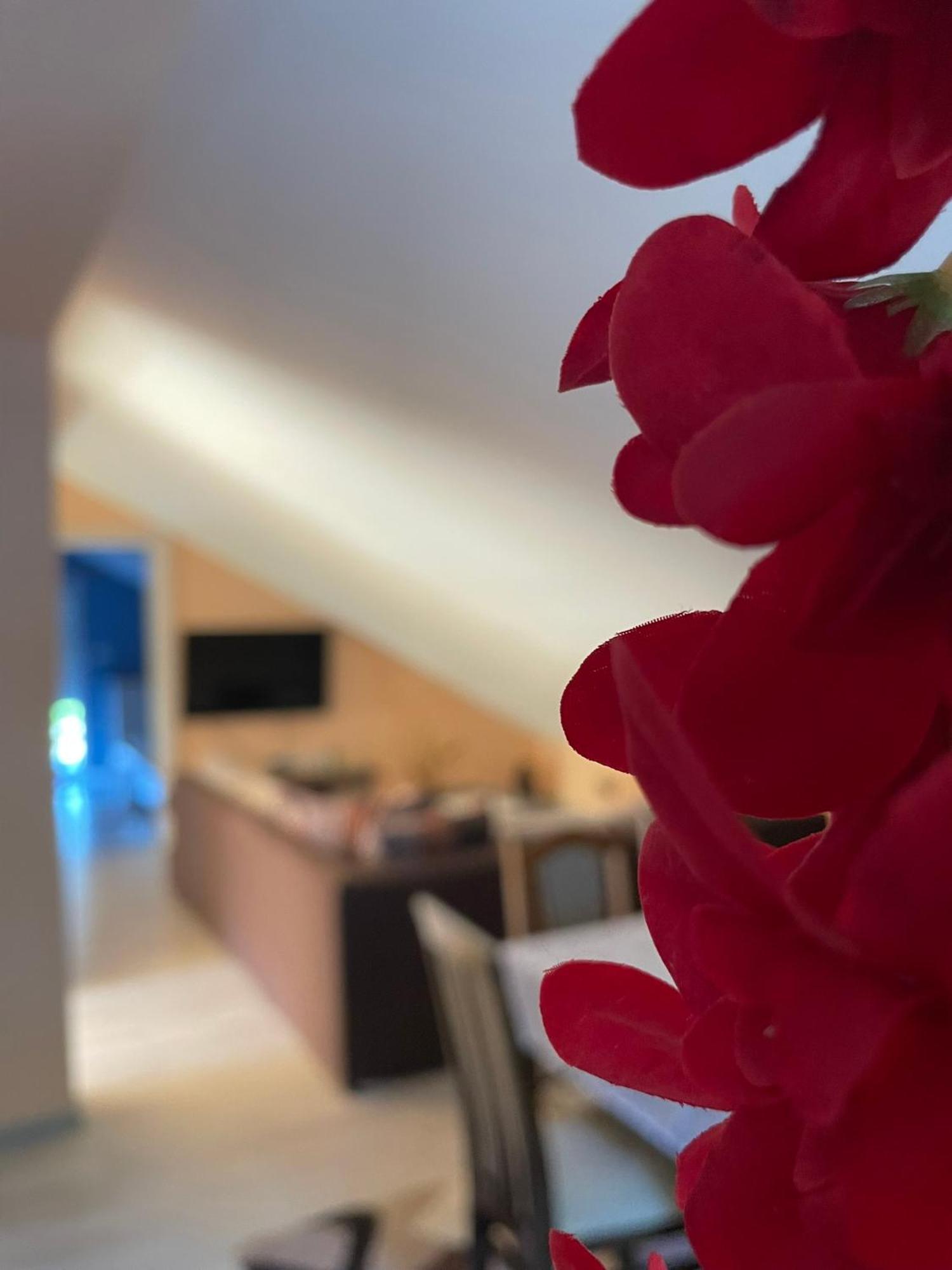Apartments Simic Kamenari Εξωτερικό φωτογραφία